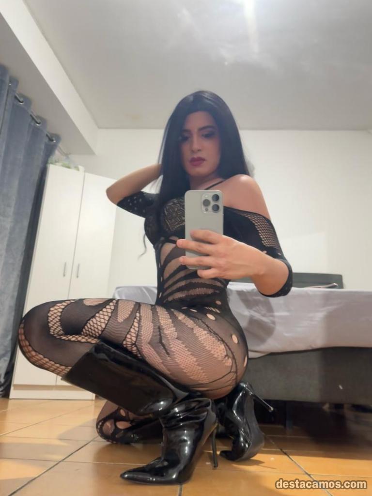 603180559-trans-en-ibiza-SpBEnl