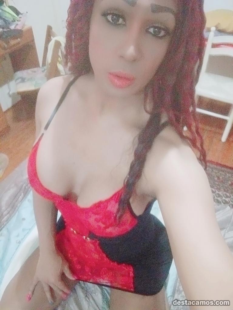 613930645-trans-en-asturias-1N1njY