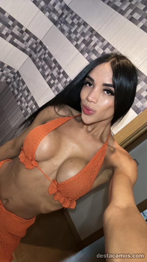 624271559-trans-en-zaragoza-7zwopt