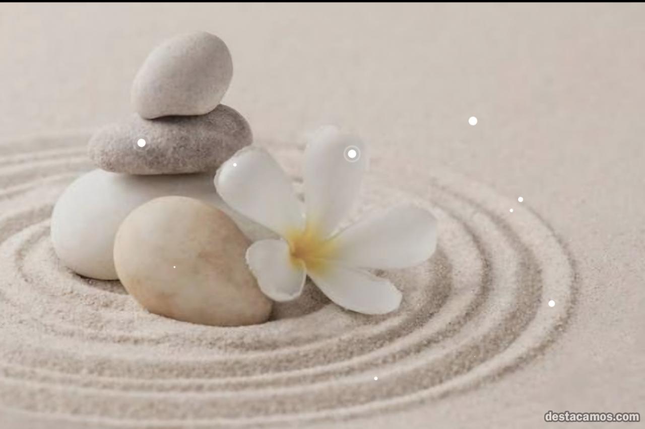 641966654-chica-de-compania-de-lujo-en-lerida-1KWpg2