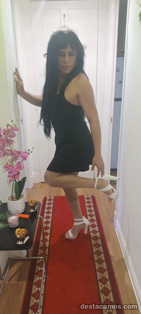 674001152-trans-en-vizcaya-MVDppl