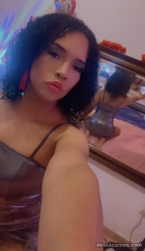 695862724-trans-en-sevilla-6cKErx